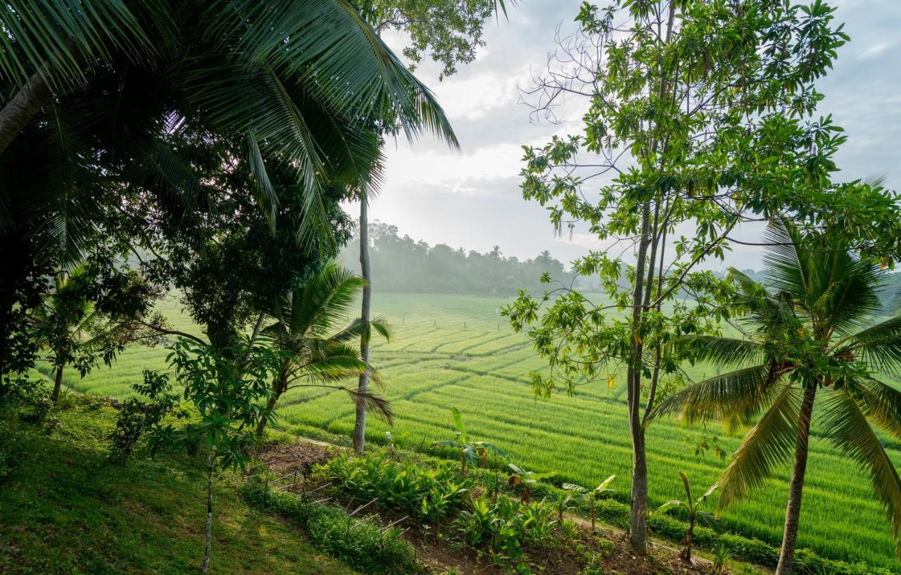 Villa Alba - Ahangama Ngoại thất bức ảnh