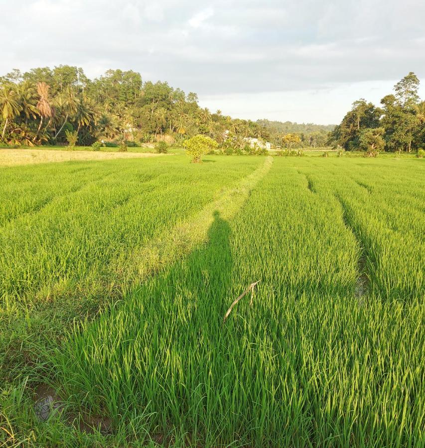 Villa Alba - Ahangama Ngoại thất bức ảnh